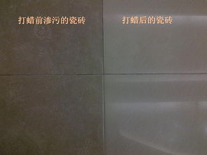 20190314175657792 首页| 9001cc金沙集团以诚为本官网